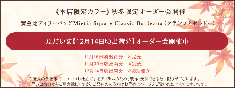 【傳濱野】 ≪WEB本店限定カラー≫ 皇室御用達 日本女性が輝く黄金比デイリーバッグ Mietia Square（ミーティアスクエア） Classic  Bordeaux（クラシックボルドー） お仕事 肩にかかる