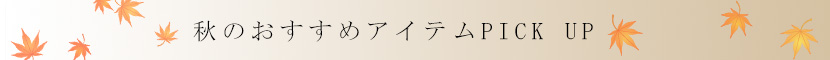 傳濱野秋のオススメアイテム