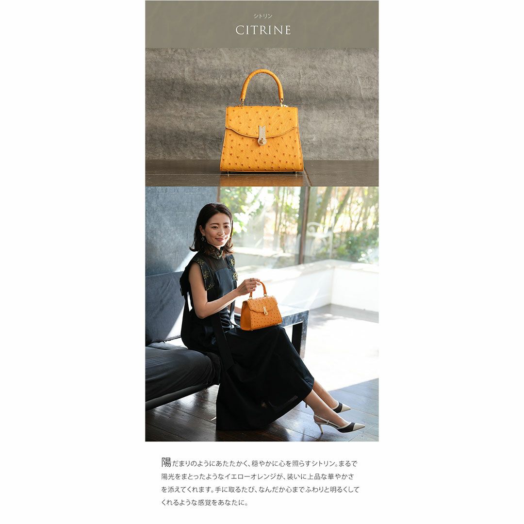 【傳濱野】《Luxury Line》ジュエリーライクなオーストリッチに、王室愛用モデル金具を添えたワンハンドルバッグAlicia Struzzo（アリシアストラッツォ）